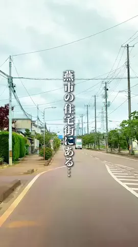 上司と部下@新潟グルメのTikTok投稿