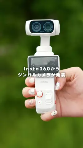 ポールの浪漫のTikTok投稿