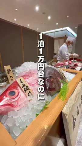 メノ｜子連れ旅行&お出かけのTikTok投稿