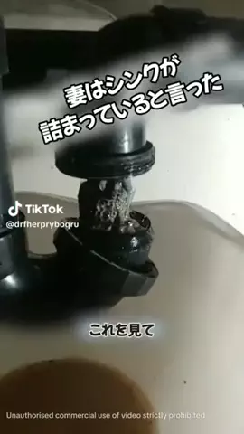 ひろゆきの声のTikTok投稿