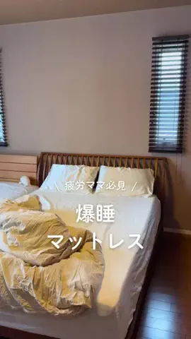 よっしーのTikTok投稿