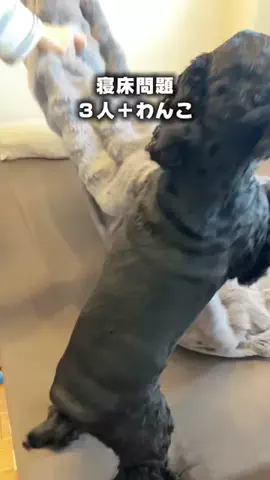 R I N AのTikTok投稿