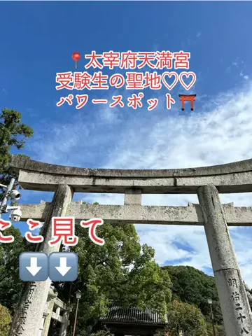 🐯さーちん☆sarchin☆🐯のTikTok投稿
