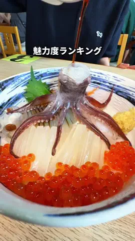 ゆたはる💑🌏🌞|横浜→全国おでかけ365日発信カップルのTikTok投稿