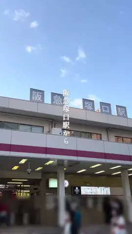 ama_gurumeguriのTikTok投稿