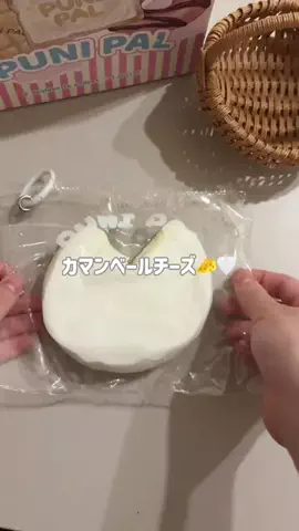 ぷにちゃん🐰のTikTok投稿