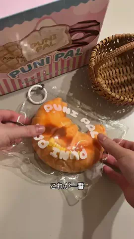 ぷにちゃん🐰のTikTok投稿