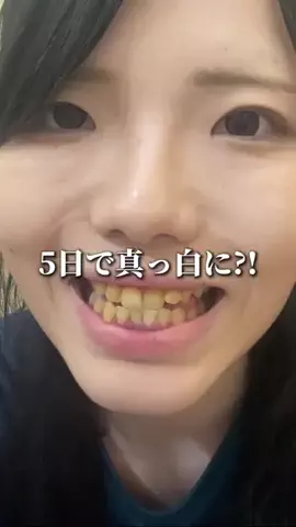 パピコ🐈‍⬛のTikTok投稿