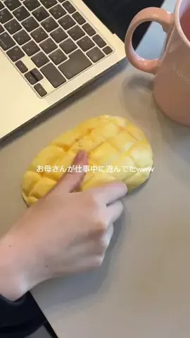 ぷにちゃん🐰のTikTok投稿
