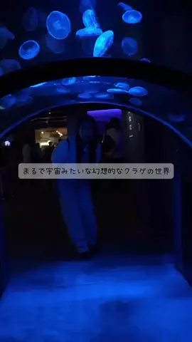 桜雲-AUN-のTikTok投稿
