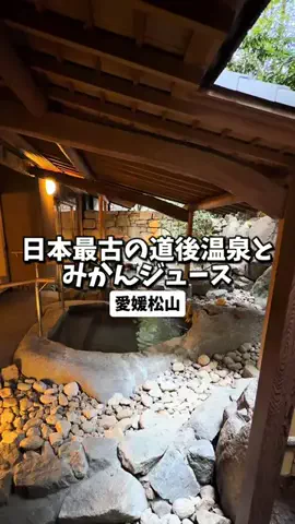 日本グルメのTikTok投稿