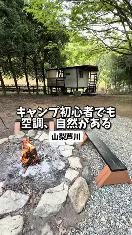 日本グルメのTikTok投稿