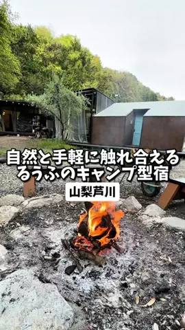 日本グルメのTikTok投稿