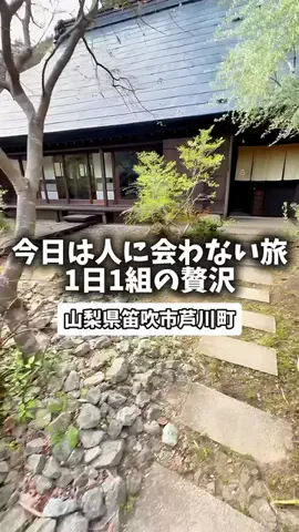 日本グルメのTikTok投稿