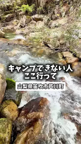 日本グルメのTikTok投稿
