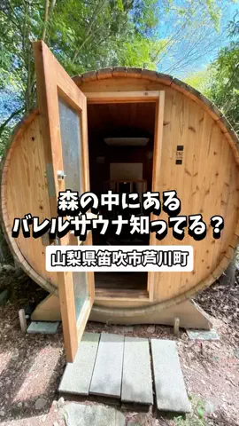 日本グルメのTikTok投稿