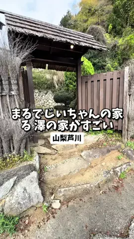 日本グルメのTikTok投稿