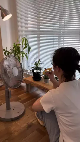 Momo  ｜ 20代ふたり暮らしのTikTok投稿