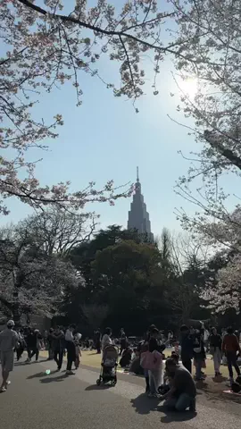 かな？｜台湾ワーホリ中🇹🇼のTikTok投稿