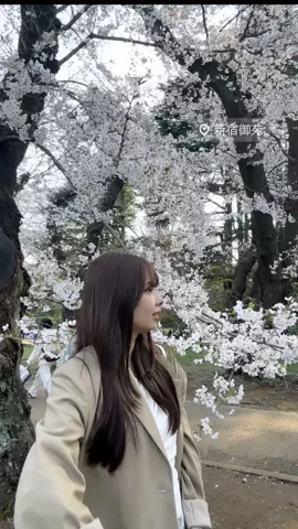 かな？｜台湾ワーホリ中🇹🇼のTikTok投稿
