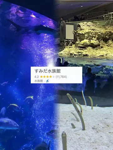 かな？｜台湾ワーホリ中🇹🇼のTikTok投稿