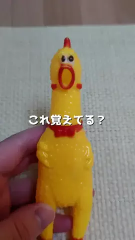 ねぼのTikTok投稿