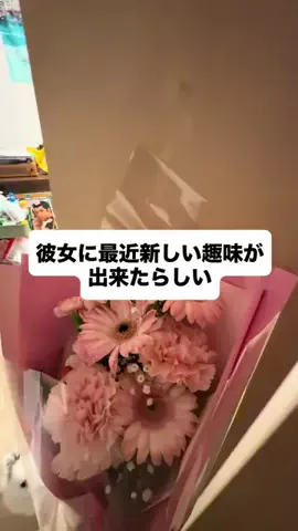 まんぷくかっぷるのTikTok投稿