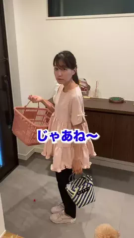 しいなのTikTok投稿