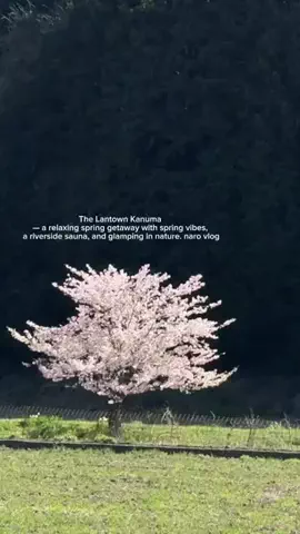 naro🛋️1LDK賃貸の暮らしのTikTok投稿
