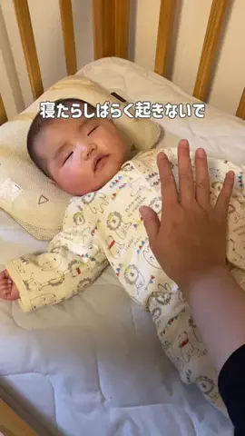 えしる／0歳児ママのTikTok投稿