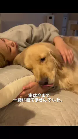 おにゅこじハウスのTikTok投稿