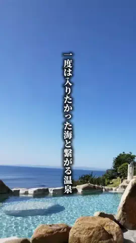 ココロ旅人のTikTok投稿