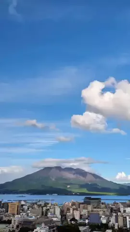 ココロ旅人のTikTok投稿