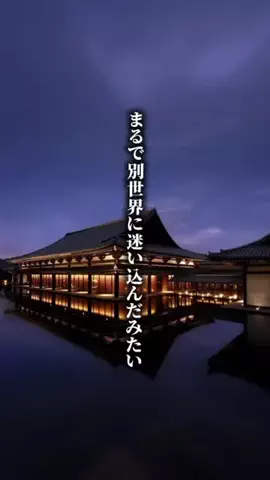 ココロ旅人のTikTok投稿