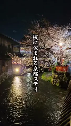 ココロ旅人のTikTok投稿