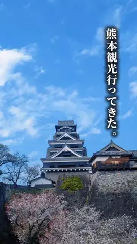 ココロ旅人のTikTok投稿