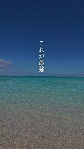 与論島(ヨロン島)観光大使🌴ジャッキーのTikTok投稿