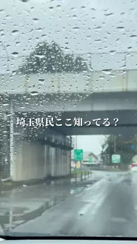 埼玉グルメ／SAITAMA SELECTのTikTok投稿