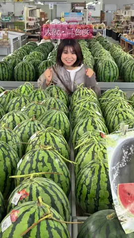 あいこパンダ🐼大阪発グルメおでかけのTikTok投稿