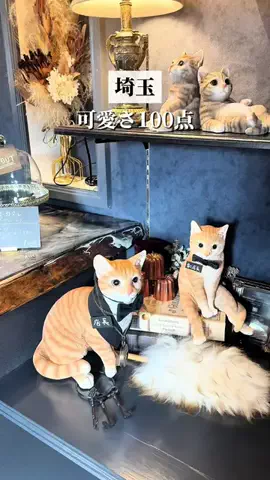 大宮グルメのTikTok投稿
