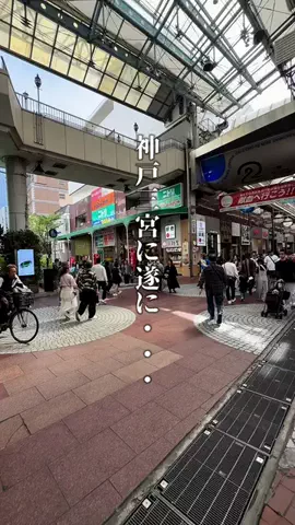 神戸グルメまひろのTikTok投稿