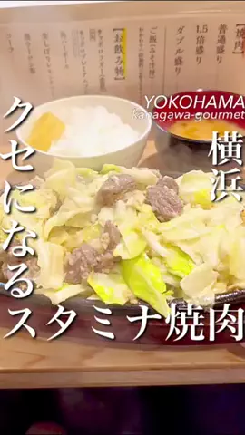 横浜グルメ/神奈川グルメ【公式】のTikTok投稿