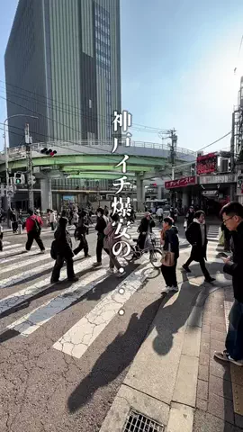 神戸グルメまひろのTikTok投稿