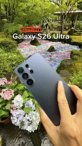 ゆうた📱スマホカメラのTikTok投稿