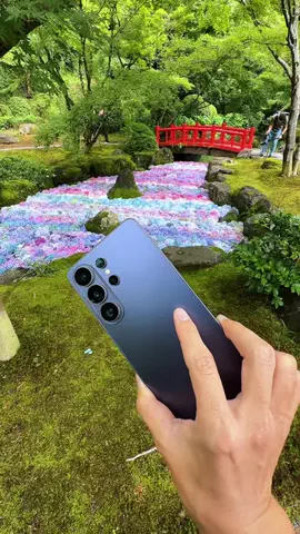 ゆうた📱スマホカメラのTikTok投稿