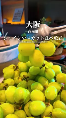 まえすけ｜大阪カフェ・大阪グルメ・関西おでかけデートのTikTok投稿