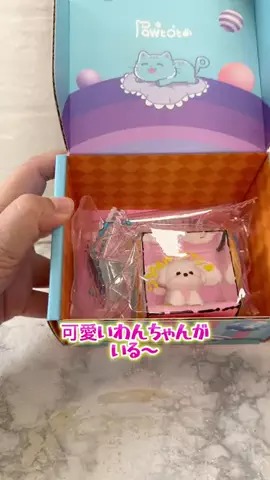 みやも人形のTikTok投稿