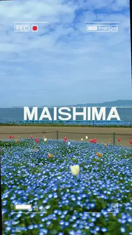 fumi📸3776🖼️のTikTok投稿