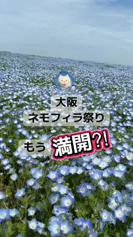fumi📸3776🖼️のTikTok投稿