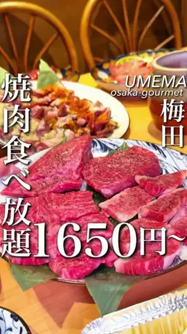 大阪グルメ【関西グルメ】のTikTok投稿